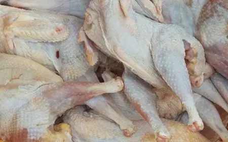 إتلاف 4 أطنان دجاج فاسد في الزرقاء