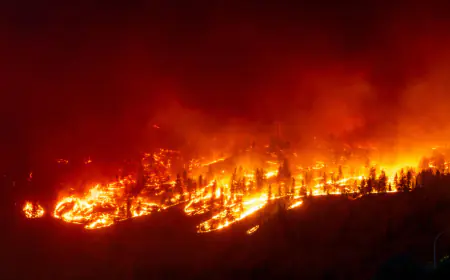 انتشار حرائق الغابات تدفع الآف الكنديين لإخلاء منازلهم