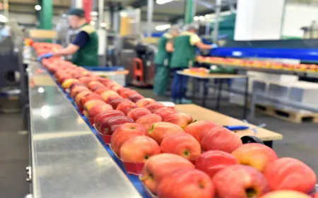 30 شركة صناعية أردنية تشارك في معرض سعودي فود 2024