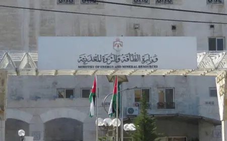 قارئ صوتي على موقع وزارة الطاقة الإلكتروني