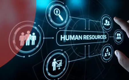 الحكومة: إقرار نظام إدارة الموارد البشرية في القطاع العام لسنة 2024
