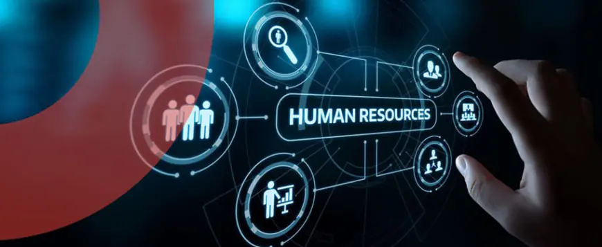 الحكومة: إقرار نظام إدارة الموارد البشرية في القطاع العام لسنة 2024