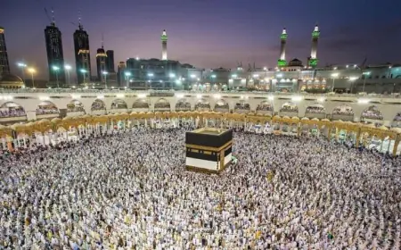 الخلايلة : حافلات احتياطية سترافق الحجاج على طول الطريق إلى المدينة المنورة