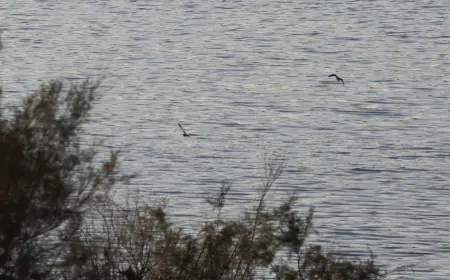 الأرصاد: أداء شهر أيار للموسم المطري الحالي دون معدلاته الشهرية