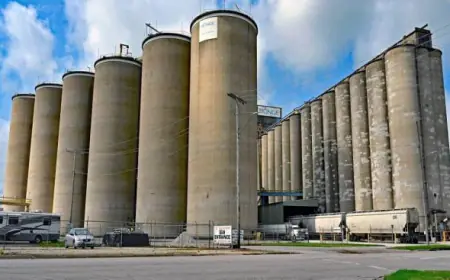 زيادة سعة الصوامع الى 750 ألف طن تعزيزا للأمن الغذائي