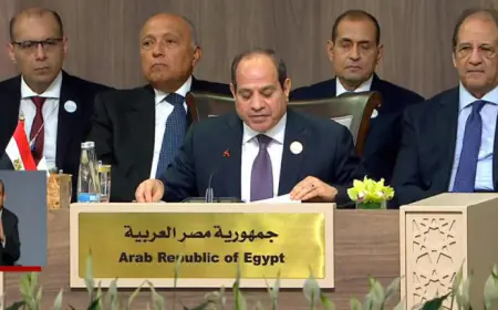السيسي: مصر حذرت مرارا من خطورة الحرب على قطاع غزة