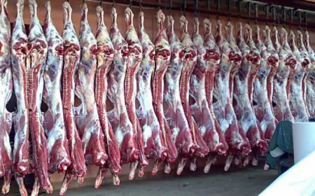 تحديد  دوام السوق المركزي والمسلخ في العيد