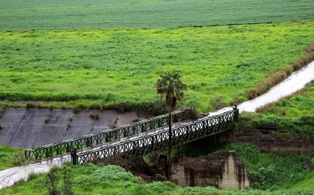 الباقورة تسجل أعلى درجة حرارة على مسنوى المملكة