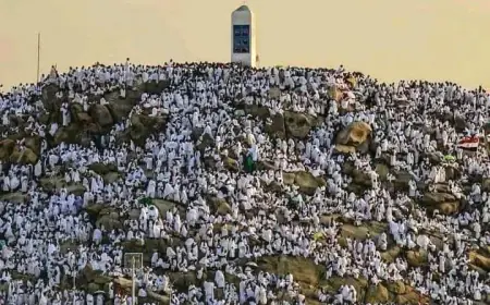 لأداء ركن الحج الأعظم.. حجاج بيت  الله الحرام  يقفون بعرفة