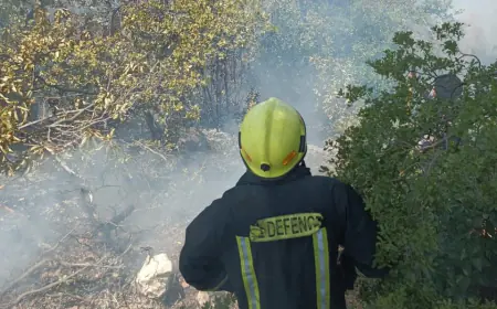 الدفاع المدني يخمد حريق أتى على مساحات واسعة في منطقة الصفصافة