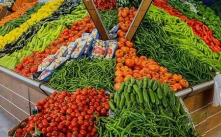 كميات الخضار والفواكه والورقيات الواردة إلى سوق الجملة المركزي  (التفاصيل)