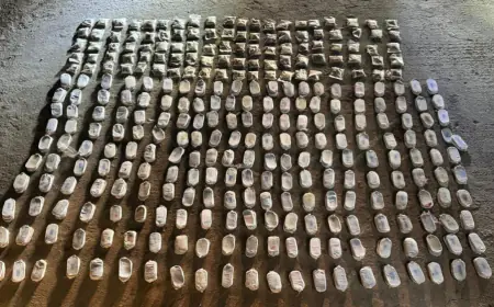 الجيش: مقتل مهرب في عملية  إحباط  تسلل وتهريب مواد مخدرة