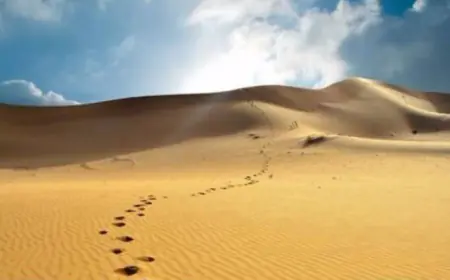 العثور على شخصين متوفيين في البادية الجنوبية