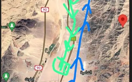 البروفسور الفرجات يكتب: أمام معالي نايف الفايز تكييف العقبة إصطناعيا بكلفة مجانية