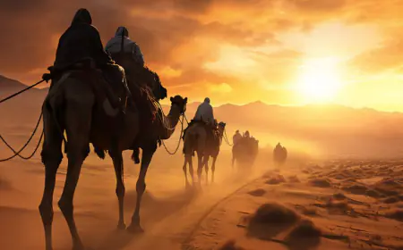 بركات يكتب: الهجرة النبوية نظام متكامل للتاريخ الإسلامي وحضارته الإنسانية