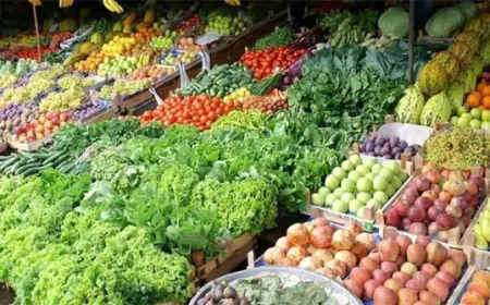 كميات الخضار الواردة إلى سوق الجملة المركزي