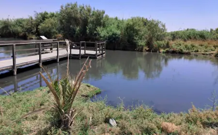 سلطة وادي الاردن تحيل معتدين على قناة الملك عبدالله للادعاء العام
