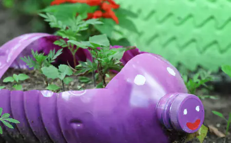 ابتكار طريقة جديدة لتدوير البلاستيك (التفاصيل)