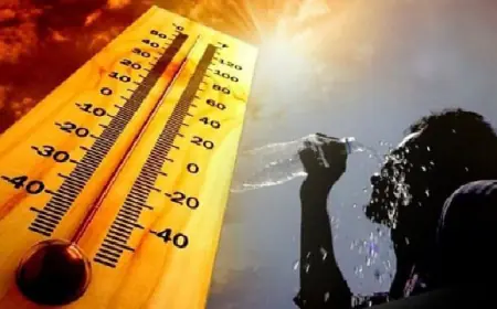 استمرار تأثير الكتلة الهوائية الحارة على الأردن