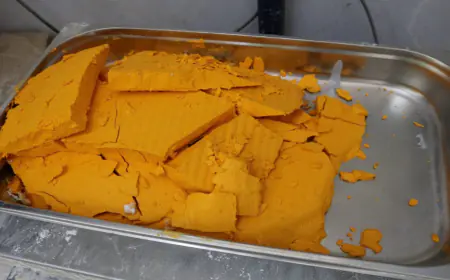 خبراء : كمية الكعكة الصفراء تقدر بـ 41 ألف طن وسط الأردن