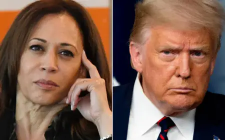 أسعار النفط وسياسات الطاقة.. ما بين ترامب وهاريس (تقرير)