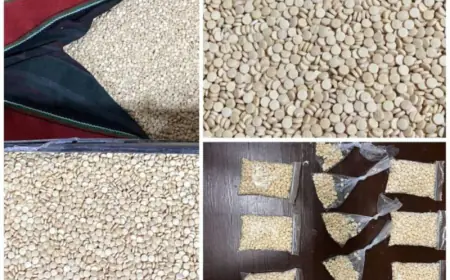 إحباط تهريب 600 ألف حبة مخدرة