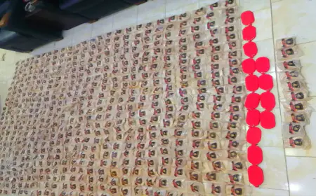 الجيش: إصابة عدد من المهربين خلال إحباط محاولة تسلل وتهريب مواد مخدرة قادمة من سوريا