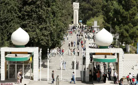 بدء تقديم طلبات الالتحاق بالجامعات الرسمية  إلكترونيا.. الأربعاء