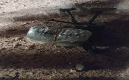 الجيش: إحباط محاولة تهريب (مخدرات) بواسطة طائرة مسيرة