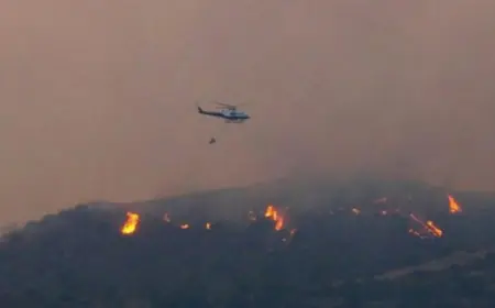 الأردن يشارك في مكافحة حرائق الغابات في اليونان