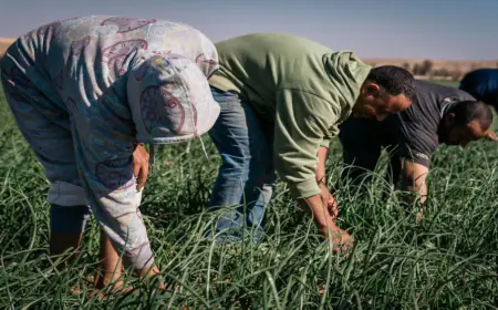 إقراض 295 مزارعا أردنيا في النصف الأول من 2024