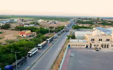 الجيش العربي : عبور 118 شاحنة جديدة من المساعدات الإنسانية إلى  غزة