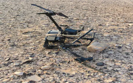 المنطقة العسكرية الجنوبية تحبط محاولتي تهريب مواد مخدرة (صور)