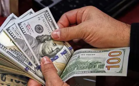 الدولار يلامس أعلى مستوى في أسبوعين مقابل اليورو