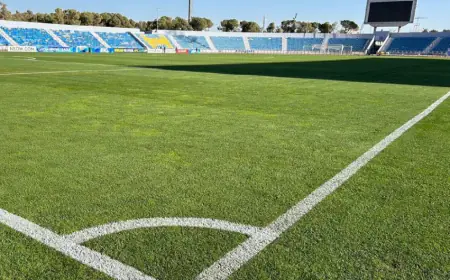 تذاكر مجانية لجماهير الكويت في مواجهة النشامى