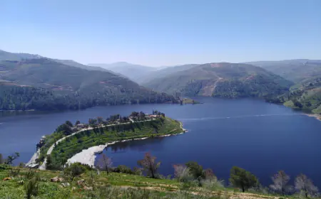 لجنة سلامة السدود : سدودنا جاهزة وأمنة لاستقبال موسمنا المطري