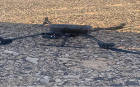 إحباط محاولة اجتياز طائرة مسيرة إلى الأردن