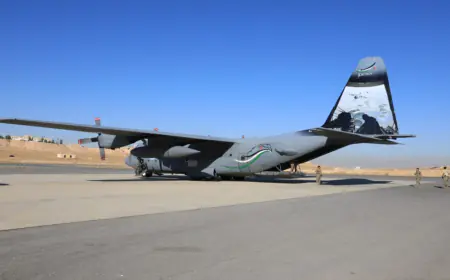 الجيش ينفذ إنزالا جويا لمساعدات إنسانية جنوب غزة