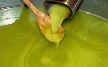  350 طنا الإنتاج المتوقع لزيت الزيتون في الطفيلة