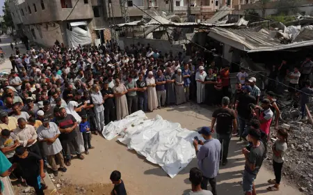 ارتفاع عدد شهداء غزة إلى 41802