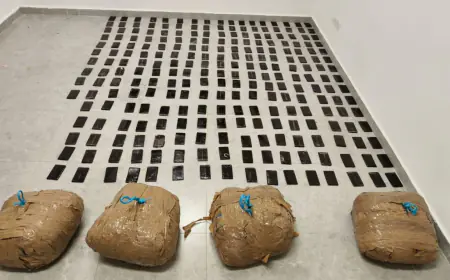 المنطقة العسكرية الجنوبية تحبط محاولة تهريب مواد مخدرة