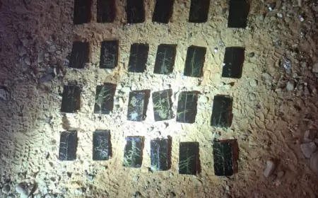 بواسطة طائرة درون.. إحباط تهريب مواد مخدرة على الواجهة الغربية