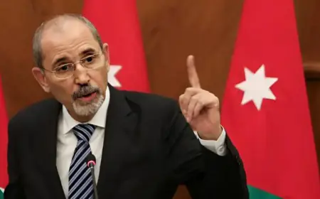 الصفدي:  على مجلس الأمن رفع الحصانة عن إسرائيل