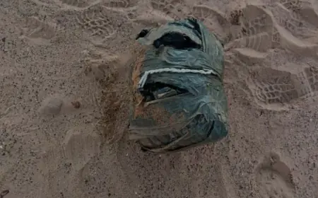 الجيش: إحباط محاولة تهريب مواد مخدرة بواسطة طائرة مسيرة (درون)