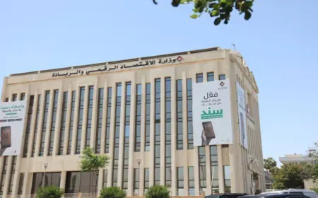 الاقتصاد الرقمي : إعفاء أرباح صادرات السلع والخدمات من الضريبة يعزز التنافسية