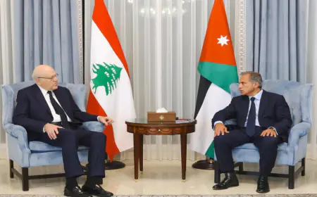 حسان يبحث مع ميقاتي العدوان  الإسرائيلي على لبنان