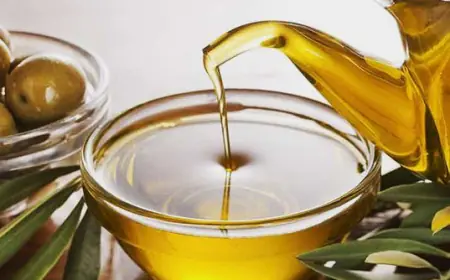 النجداوي: سعر تنكة زيت الزيتون 90-110 دنانير من مصادرها الموثوقة