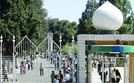 منتدى الابتكار والتنمية: مقترح تحويل مديونية البلديات وجامعات الأطراف على الحكومة المركزية