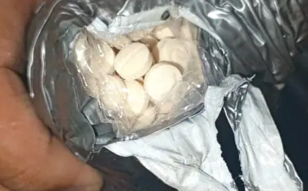 الجمارك تحبط تهريب 3 كيلو كريستال واكثر من مليون حبة كبتاجون