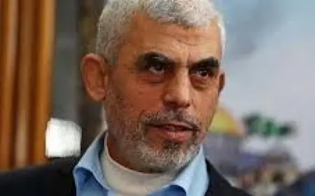 جيش الاحتلال الإسرائيلي يزعم بقتل يحيى السنوار بغارة على غزة